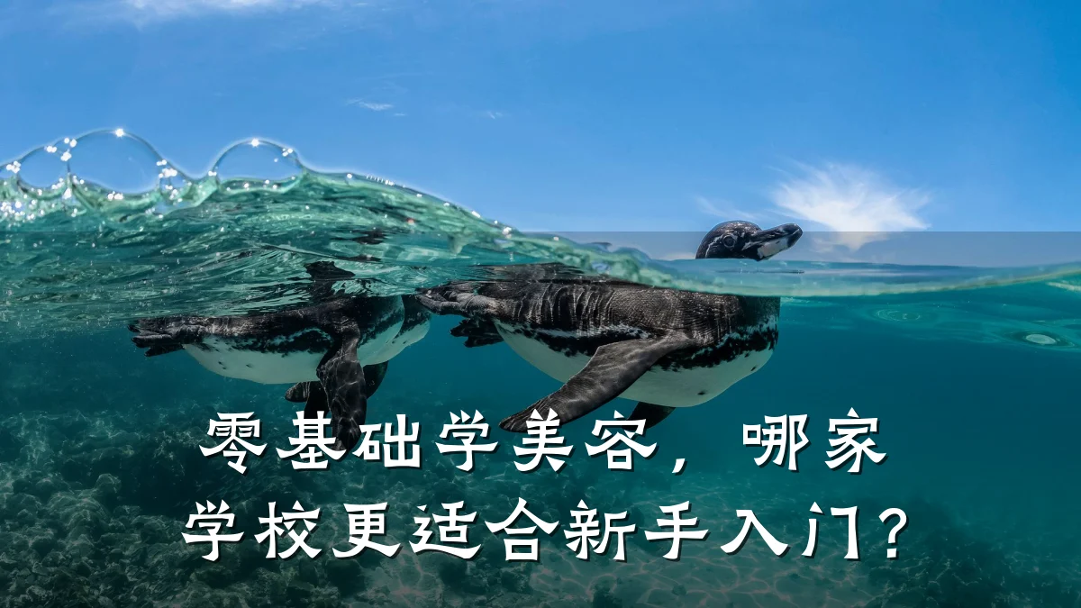 零基础学美容,哪家学校更适合新手入门?