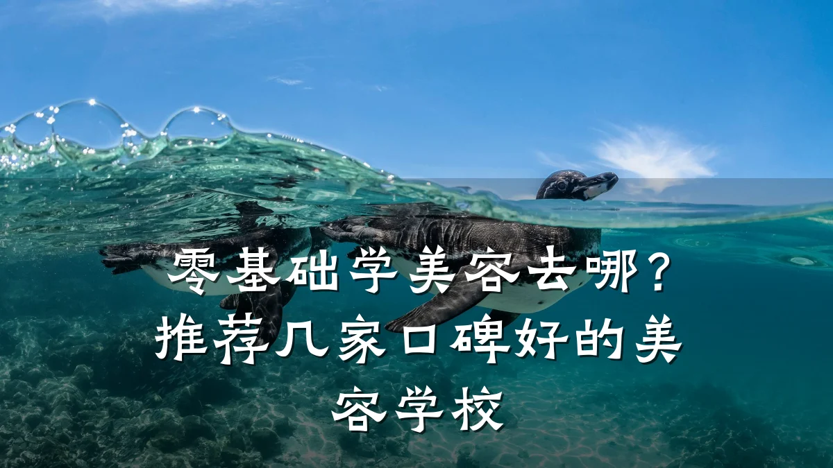 零基础学美容去哪?推荐几家口碑好的美容学校