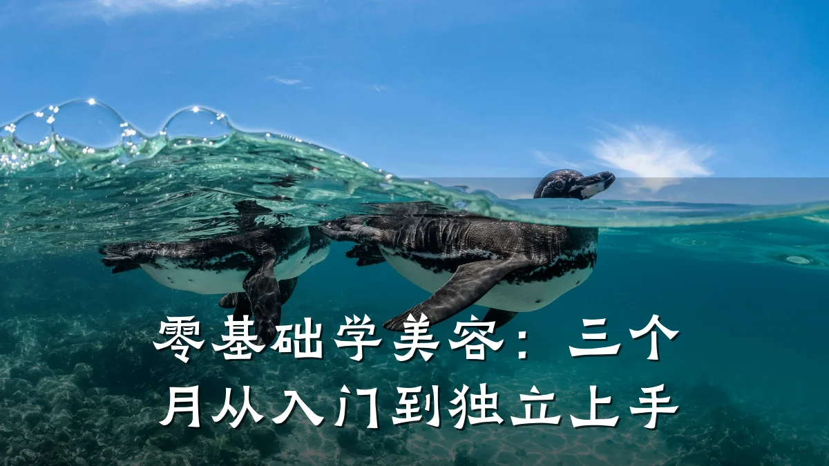 零基础学美容：三个月从入门到独立上手