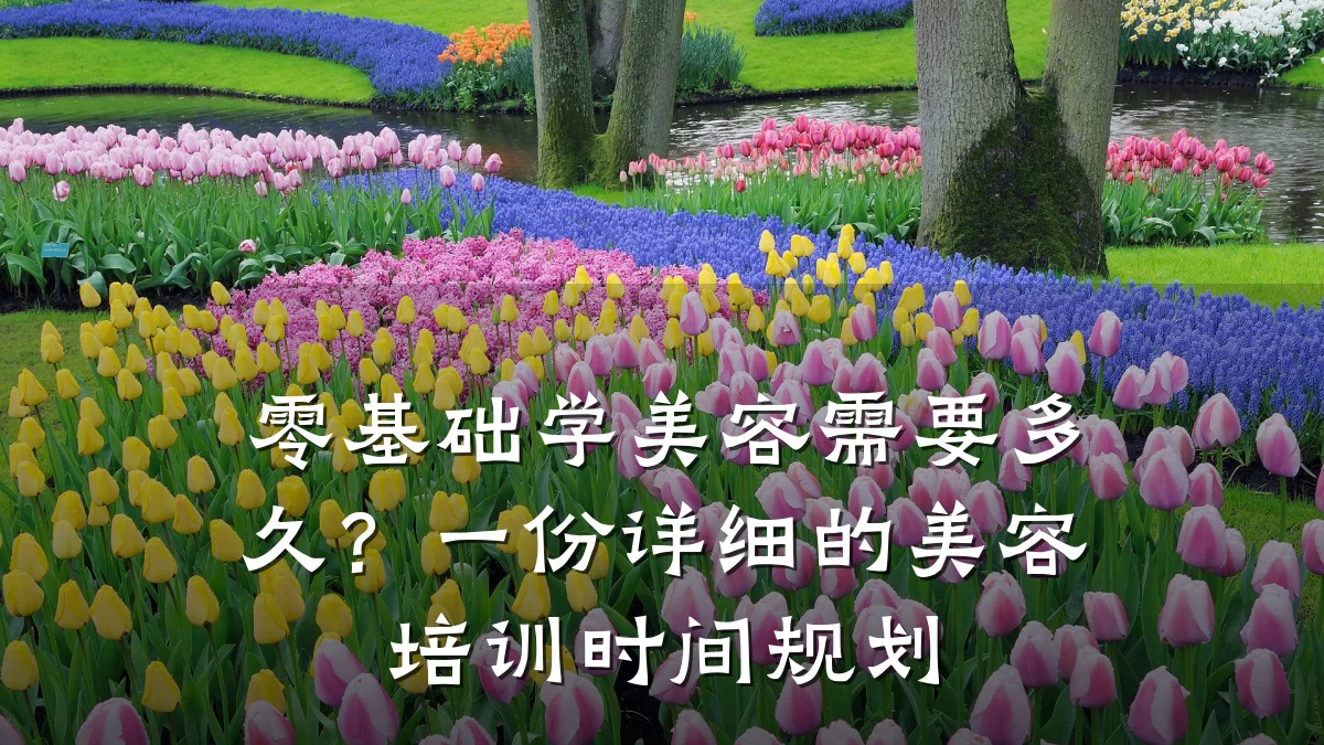零基础学美容需要多久?一份详细的美容培训时间规划
