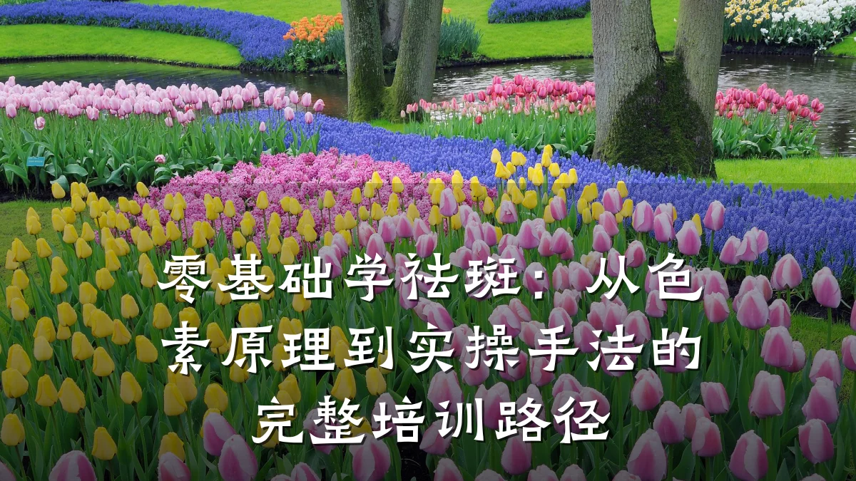 零基础学祛斑：从色素原理到实操手法的完整培训路径