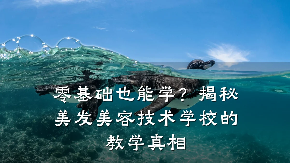 零基础也能学？揭秘美发美容技术学校的教学真相