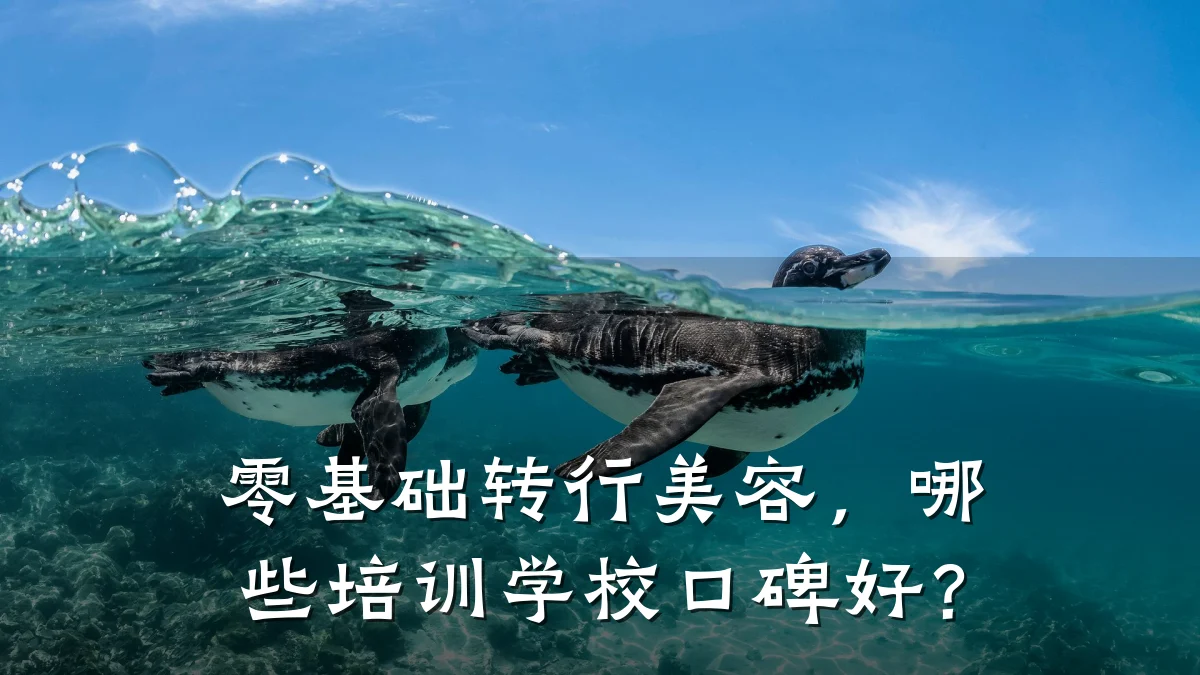 零基础转行美容，哪些培训学校口碑好？