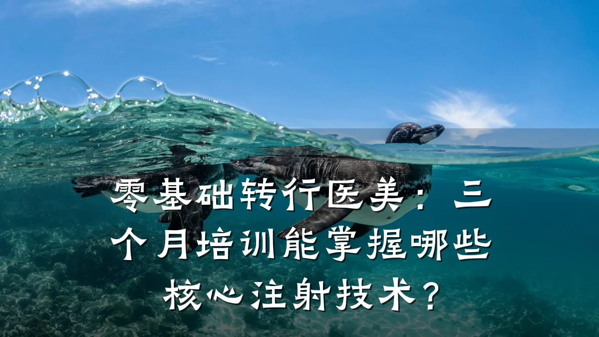 零基础转行医美：三个月培训能掌握哪些核心注射技术？