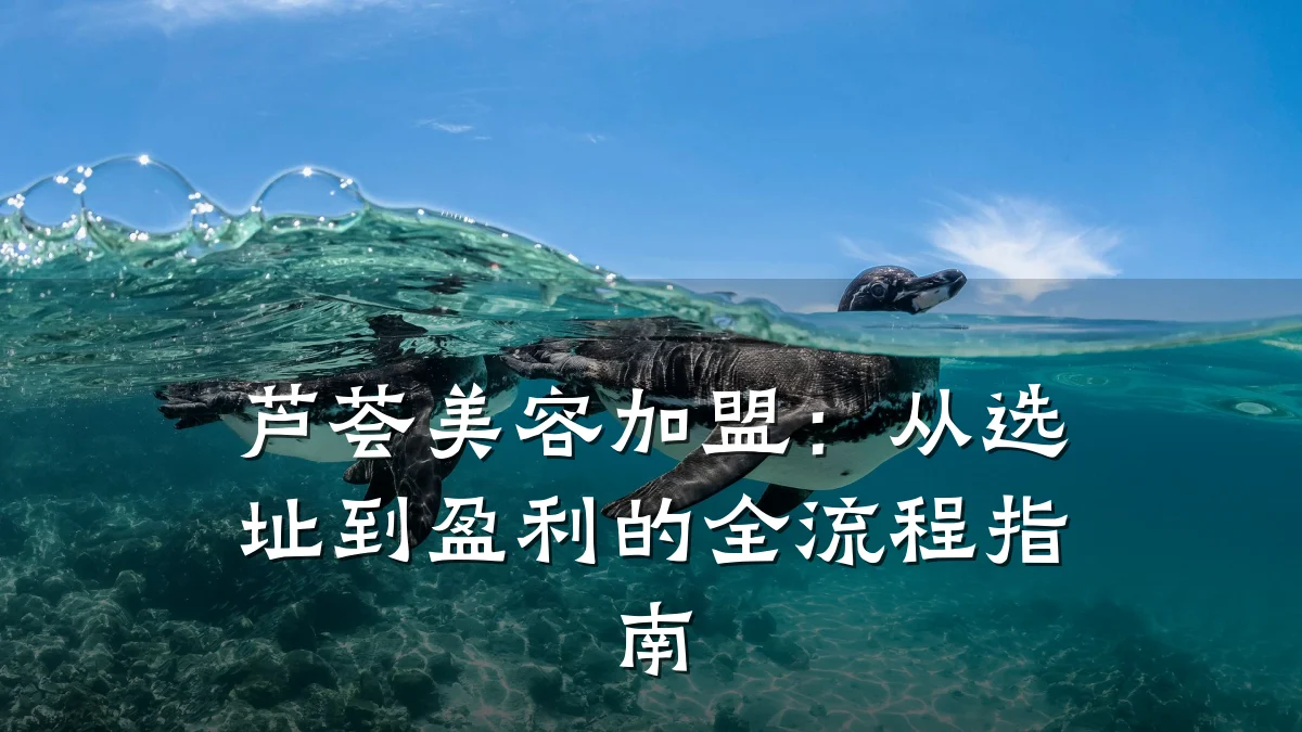 芦荟美容加盟：从选址到盈利的全流程指南