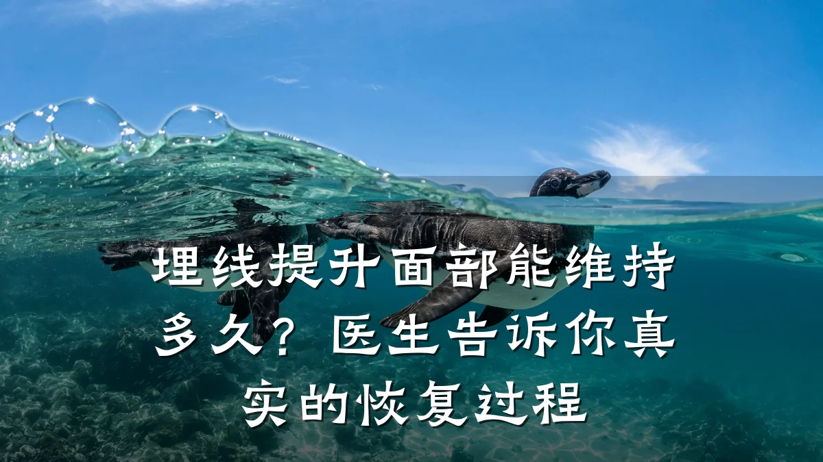 埋线提升面部能维持多久？医生告诉你真实的恢复过程