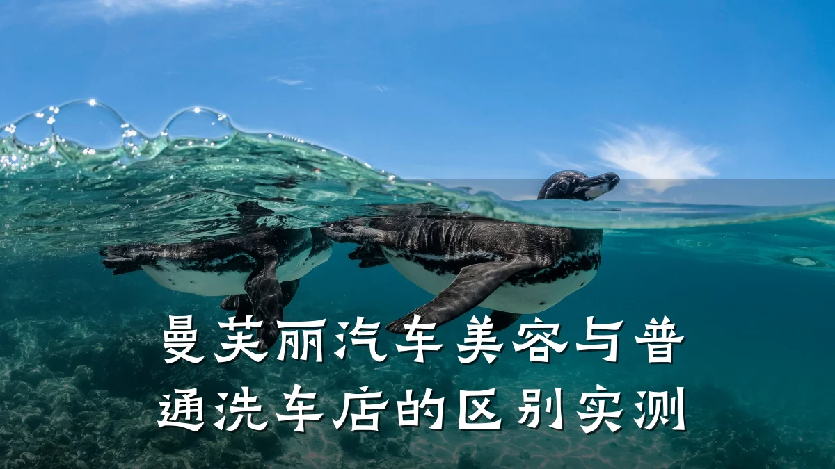 曼芙丽汽车美容与普通洗车店的区别实测