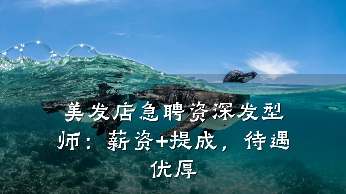 美发店急聘资深发型师:薪资+提成,待遇优厚