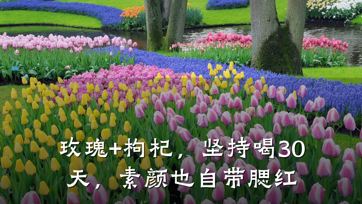 玫瑰+枸杞,坚持喝30天,素颜也自带腮红