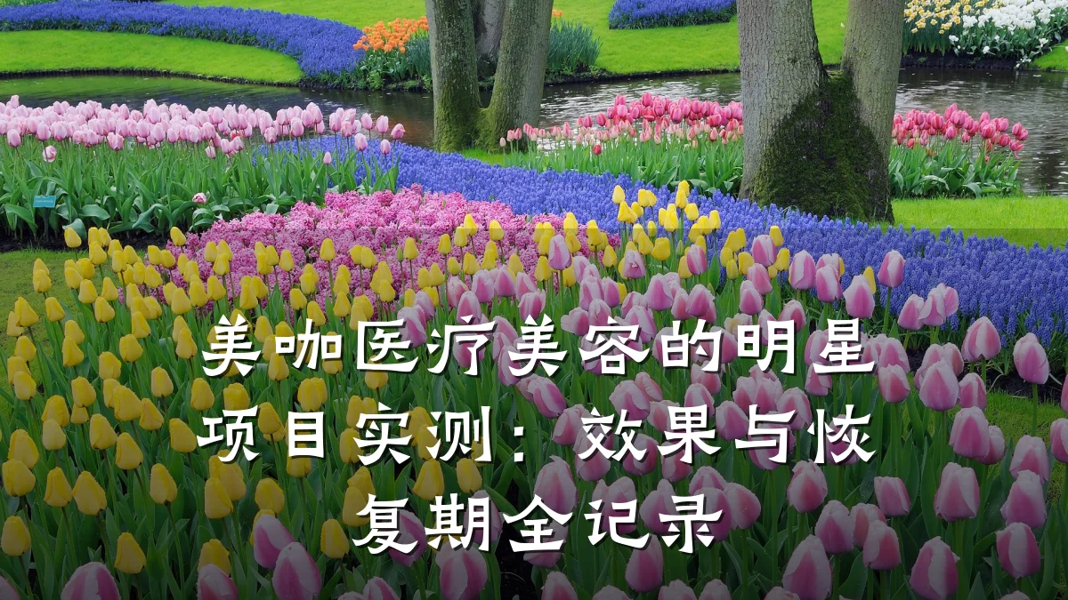 美咖医疗美容的明星项目实测：效果与恢复期全记录