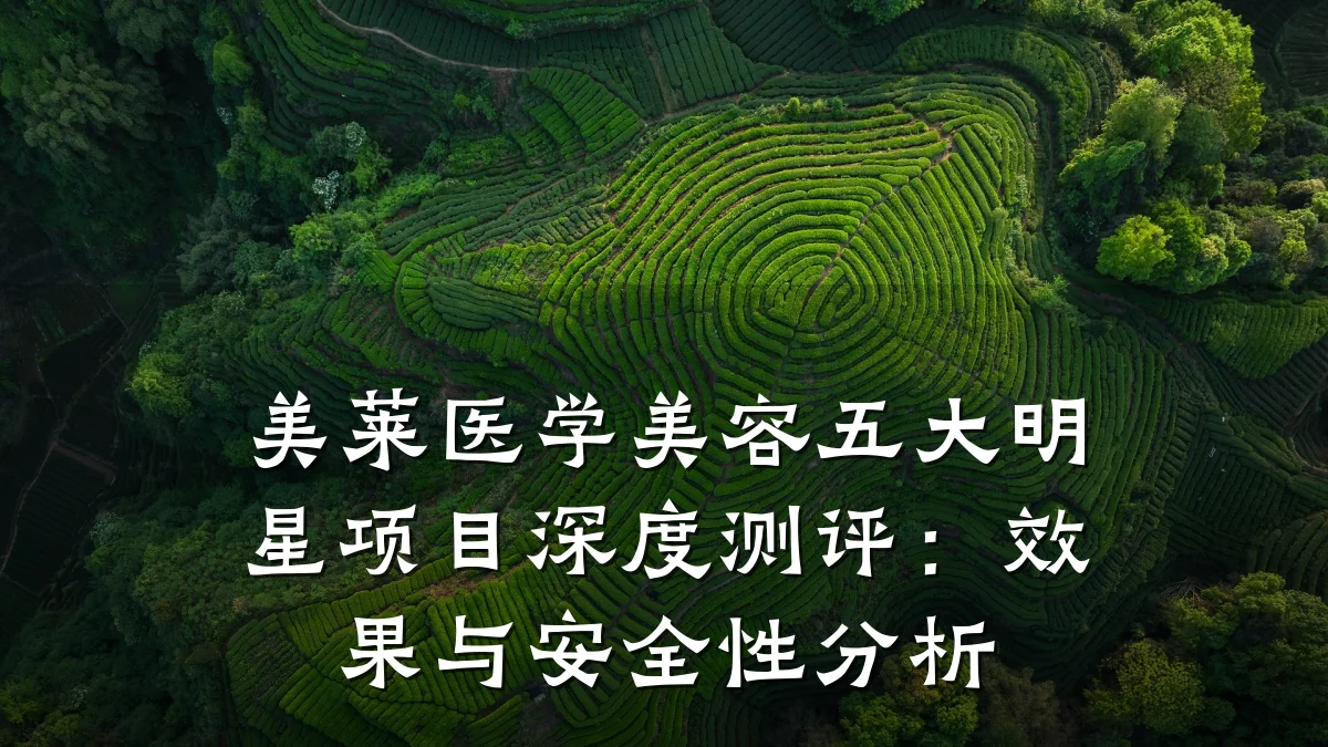 美莱医学美容五大明星项目深度测评：效果与安全性分析