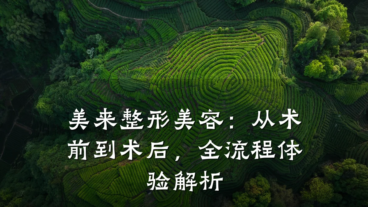 美来整形美容：从术前到术后，全流程体验解析
