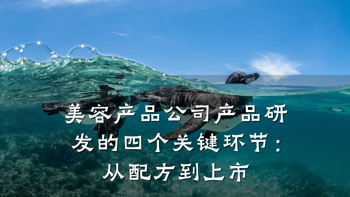 美容产品公司产品研发的四个关键环节：从配方到上市