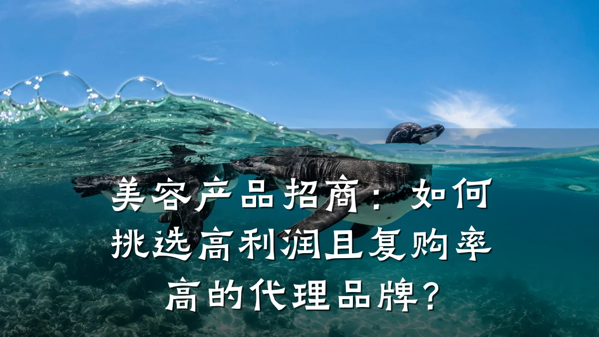 美容产品招商：如何挑选高利润且复购率高的代理品牌？
