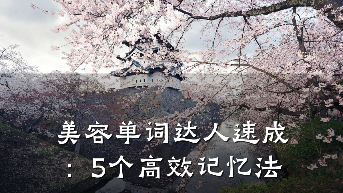 美容单词达人速成：5个高效记忆法