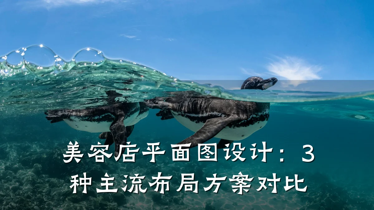 美容店平面图设计：3种主流布局方案对比