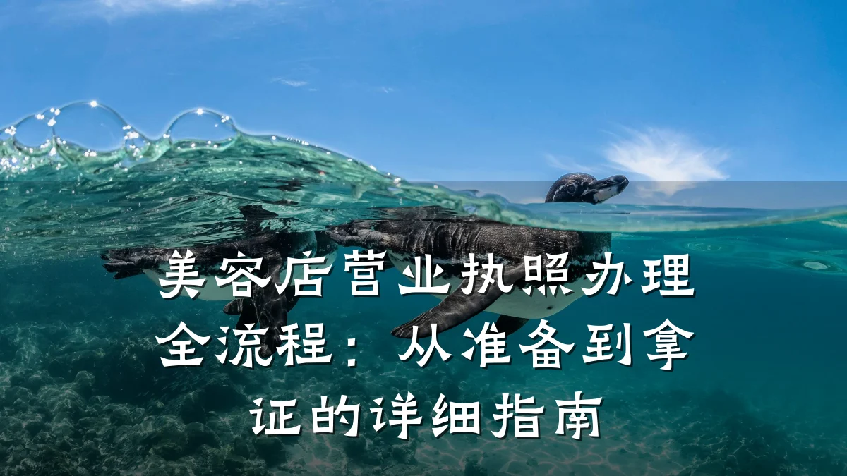 美容店营业执照办理全流程：从准备到拿证的详细指南