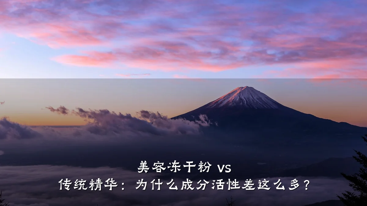 美容冻干粉 vs 传统精华:为什么成分活性差这么多?