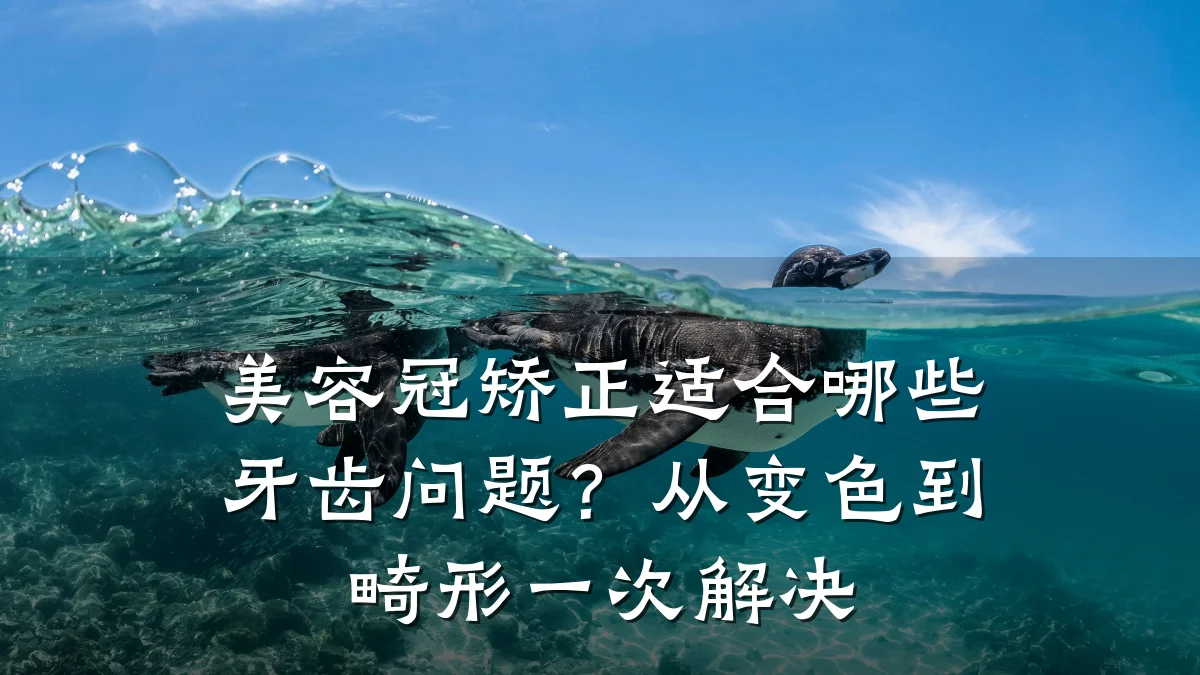 美容冠矫正适合哪些牙齿问题？从变色到畸形一次解决