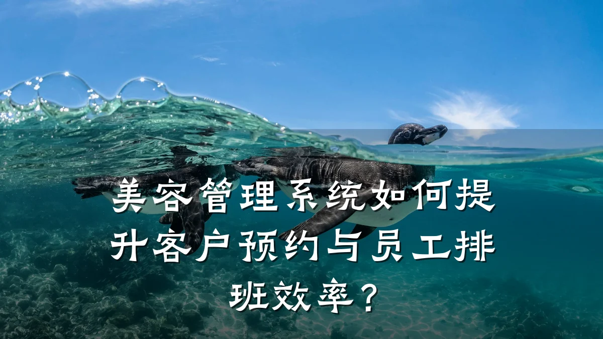 美容管理系统如何提升客户预约与员工排班效率?