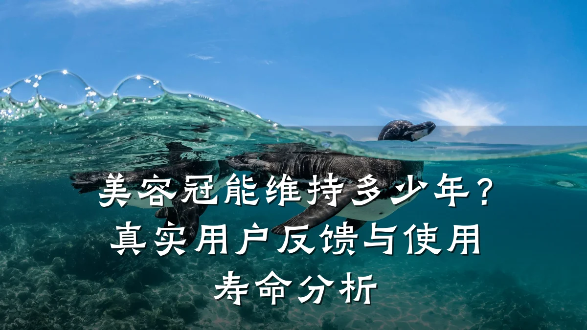 美容冠能维持多少年？真实用户反馈与使用寿命分析