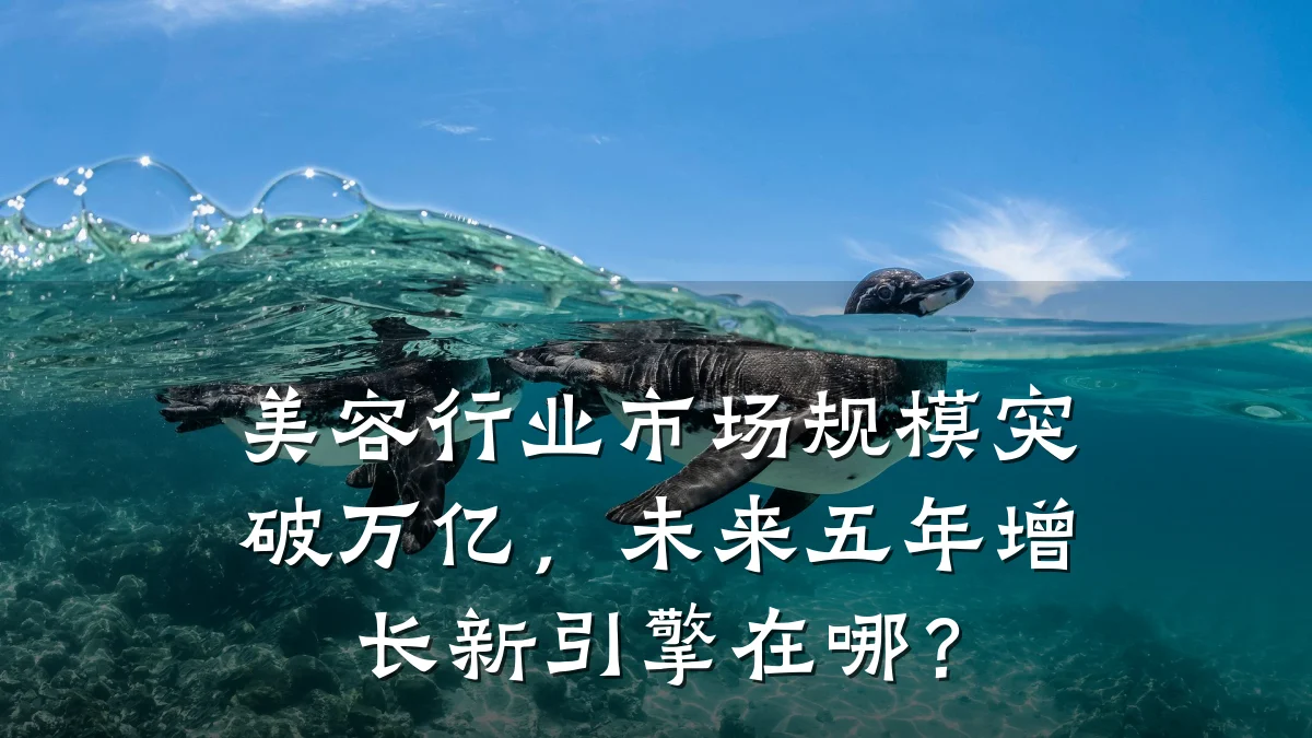 美容行业市场规模突破万亿，未来五年增长新引擎在哪？