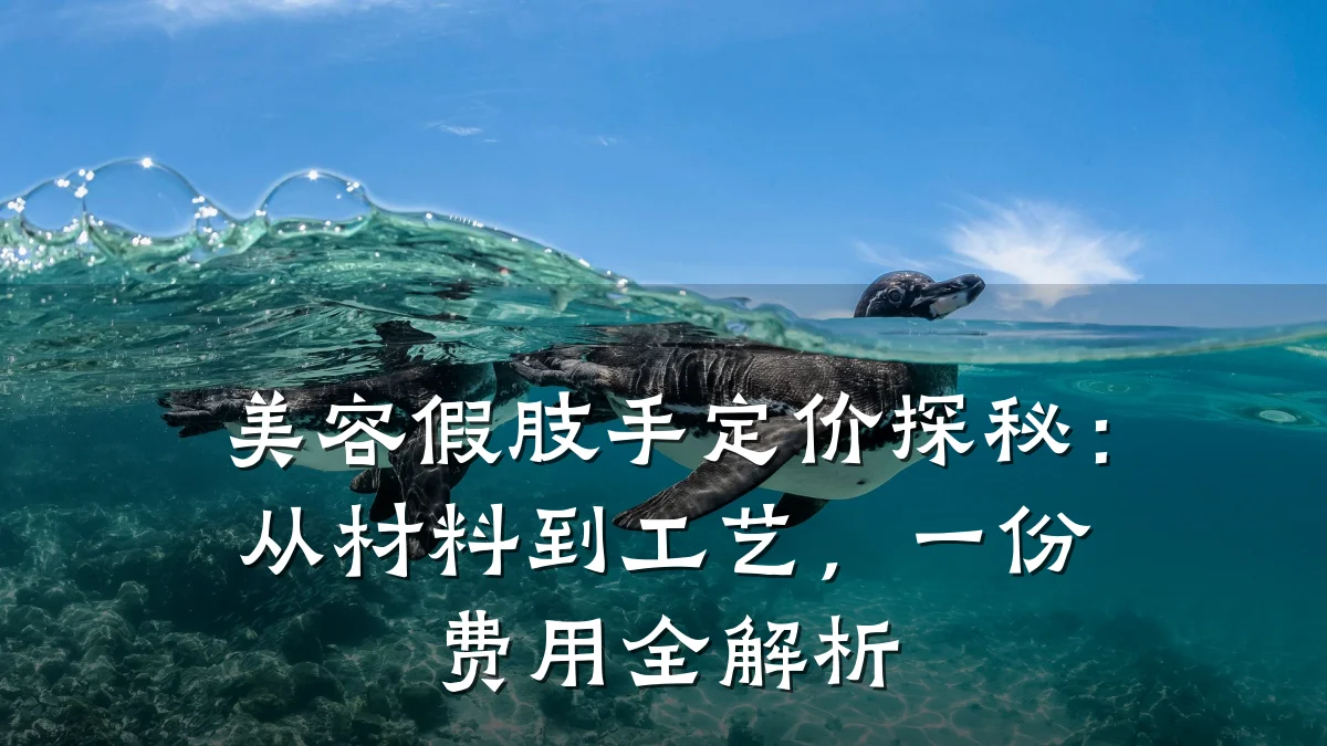 美容假肢手定价探秘：从材料到工艺，一份费用全解析