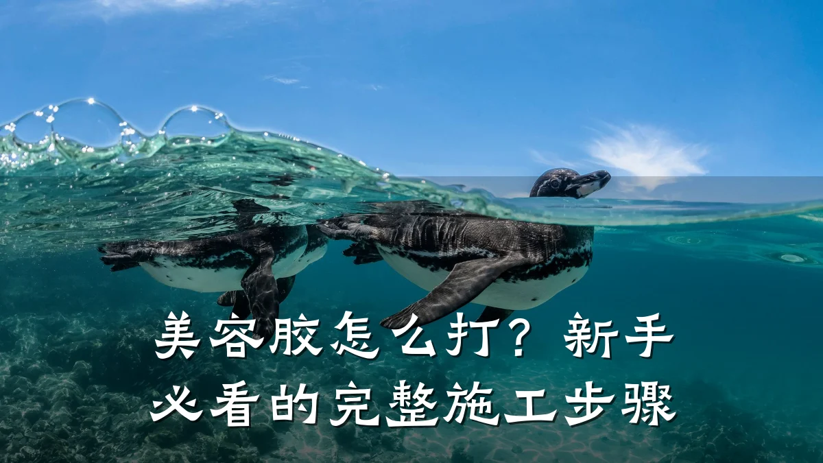 美容胶怎么打?新手必看的完整施工步骤