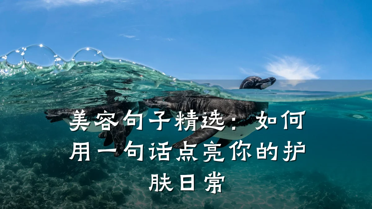 美容句子精选:如何用一句话点亮你的护肤日常
