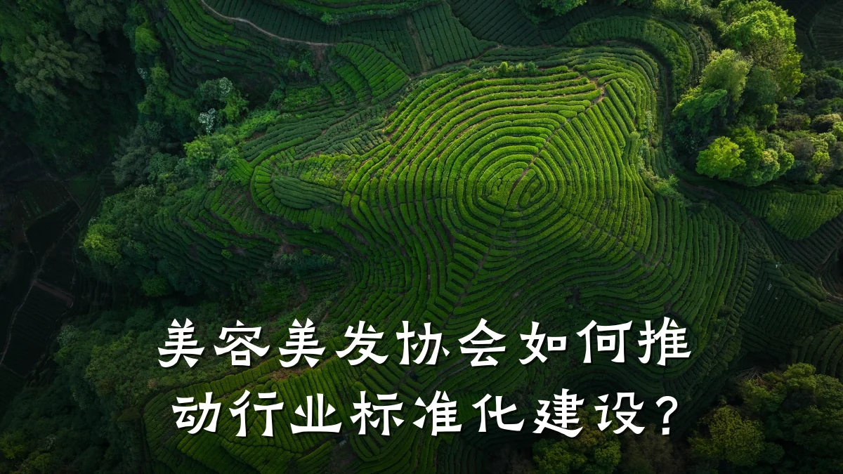美容美发协会如何推动行业标准化建设？