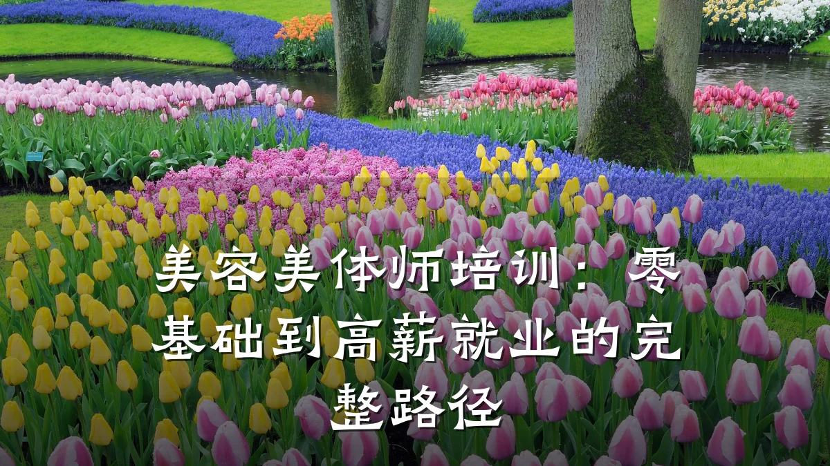 美容美体师培训：零基础到高薪就业的完整路径