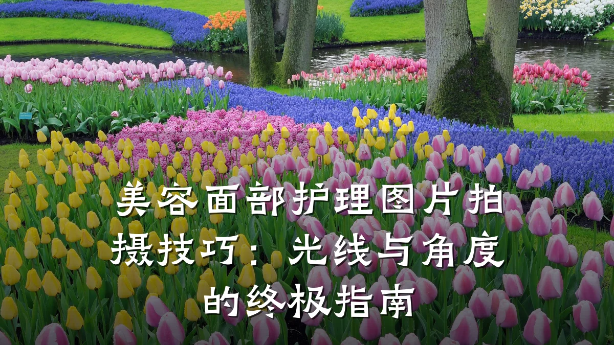 美容面部护理图片拍摄技巧：光线与角度的终极指南