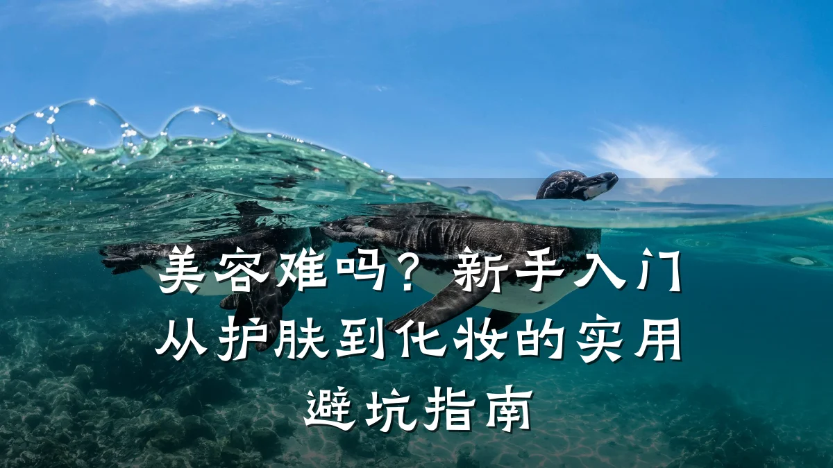 美容难吗？新手入门从护肤到化妆的实用避坑指南