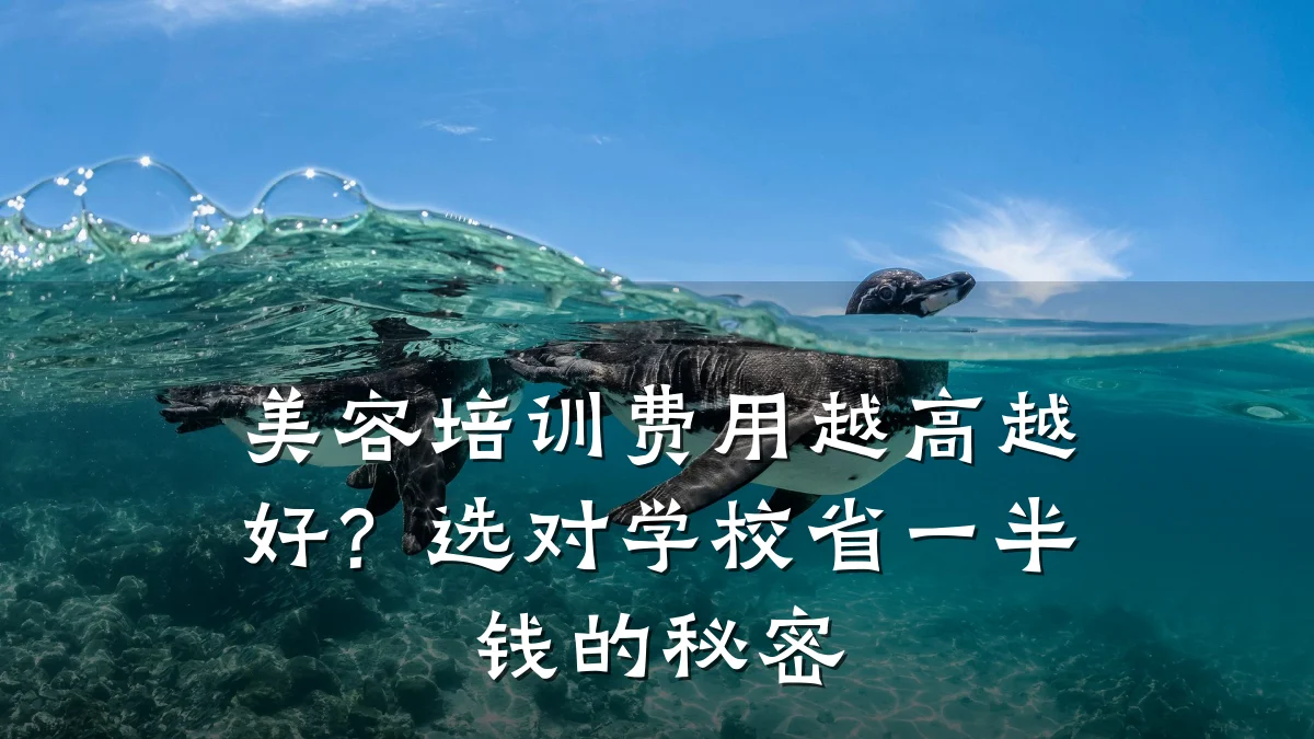 美容培训费用越高越好?选对学校省一半钱的秘密