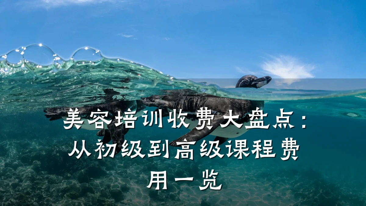 美容培训收费大盘点：从初级到高级课程费用一览