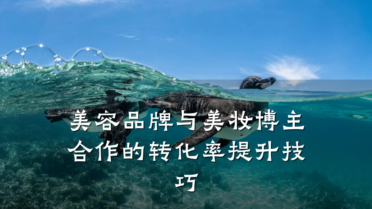 美容品牌与美妆博主合作的转化率提升技巧