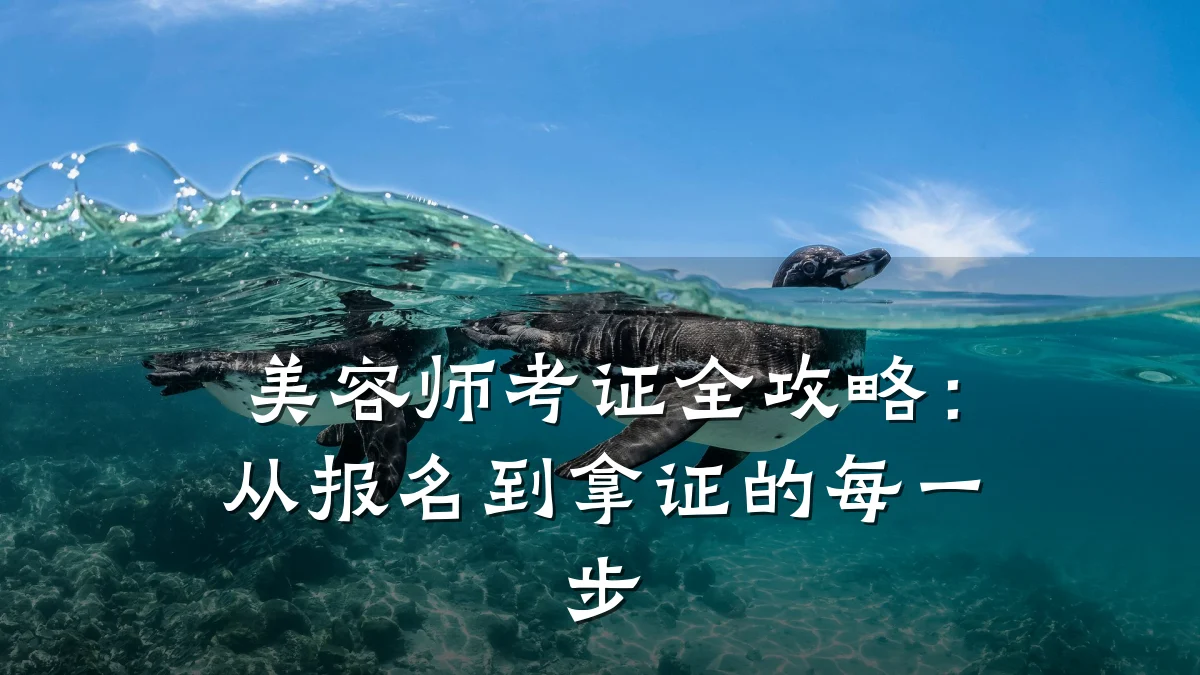 美容师考证全攻略:从报名到拿证的每一步