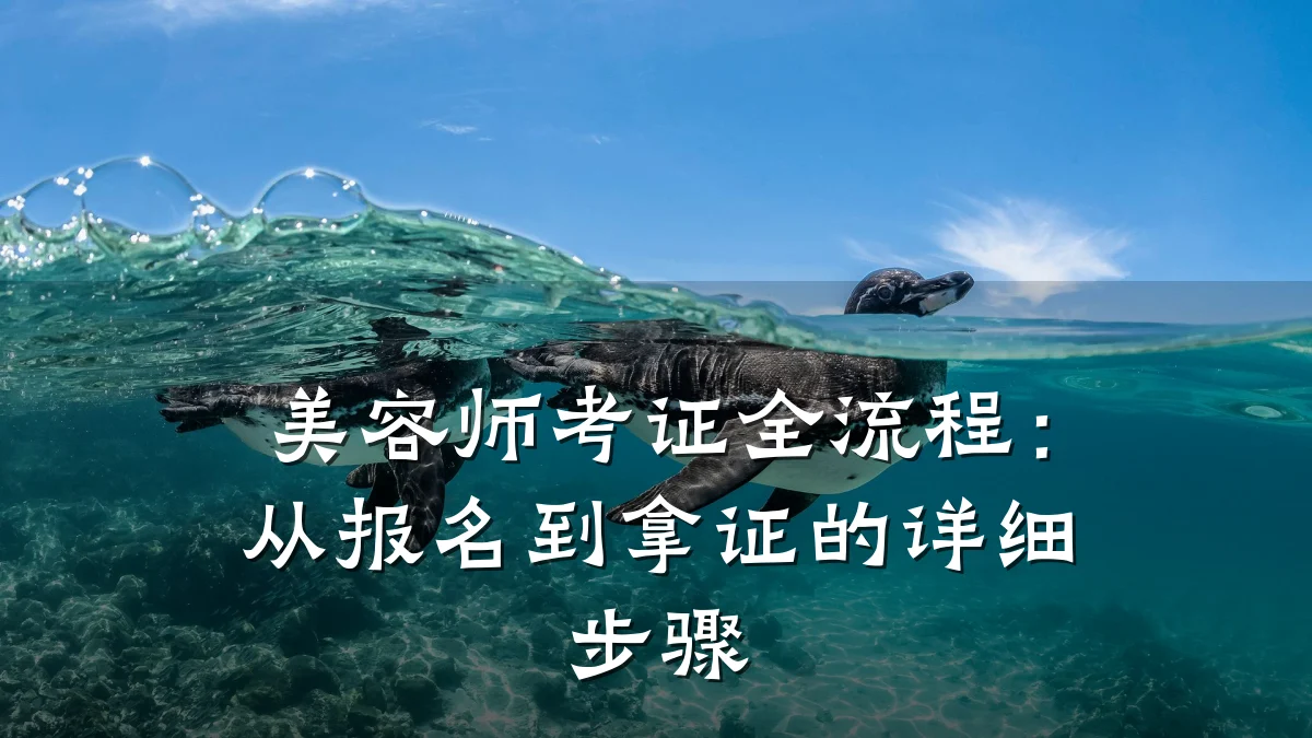 美容师考证全流程：从报名到拿证的详细步骤