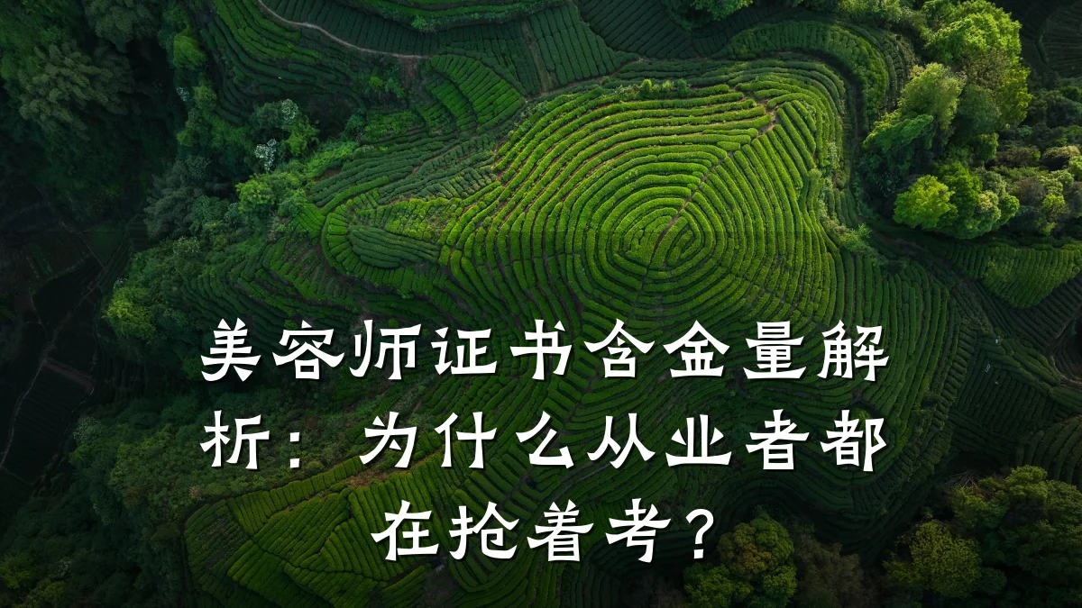美容师证书含金量解析:为什么从业者都在抢着考?
