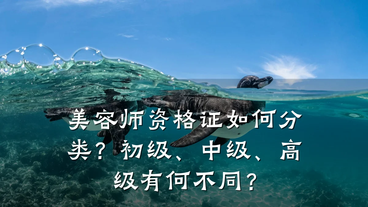 美容师资格证如何分类?初级、中级、高级有何不同?