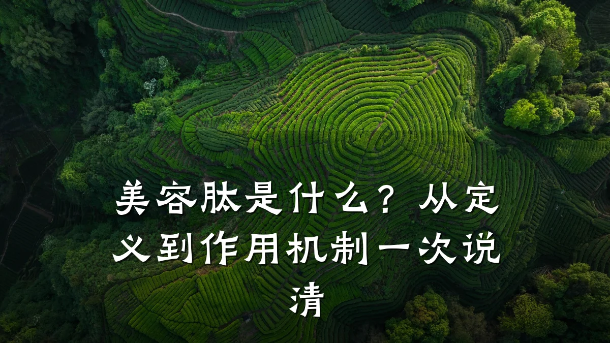 美容肽是什么？从定义到作用机制一次说清