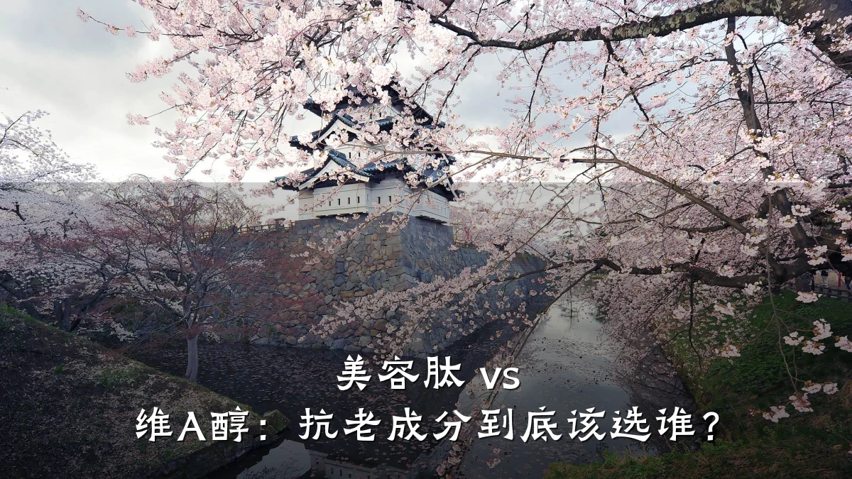 美容肽 vs 维A醇:抗老成分到底该选谁?