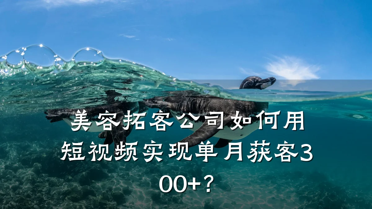 美容拓客公司如何用短视频实现单月获客300+？