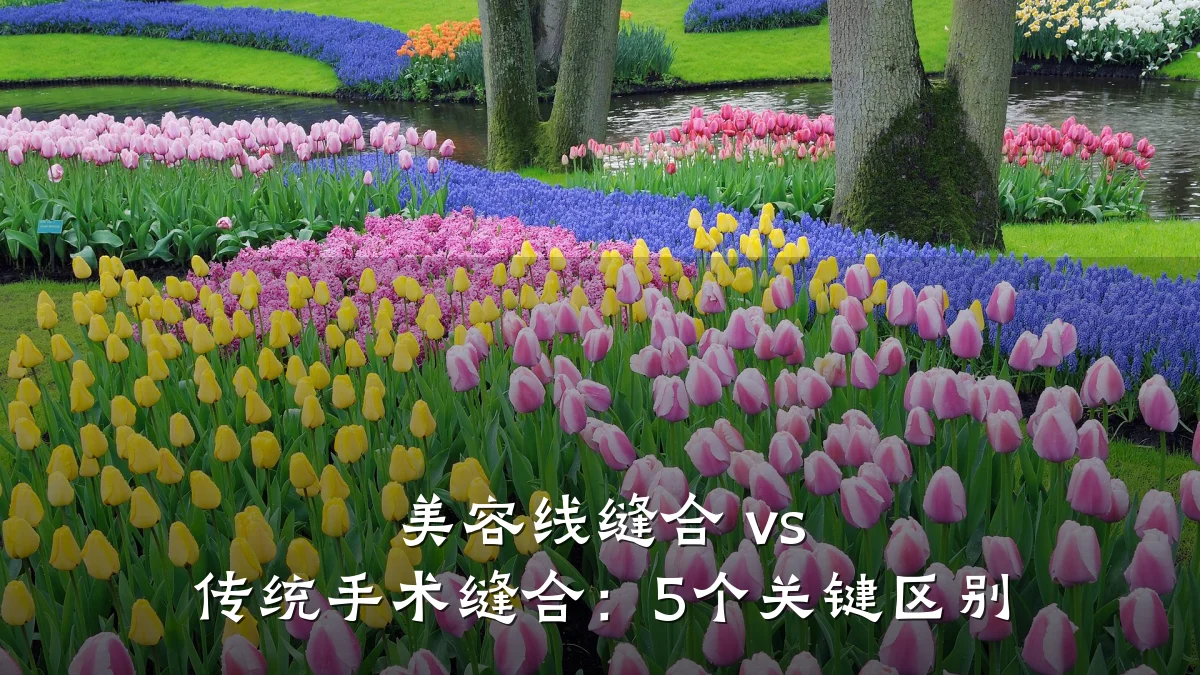 美容线缝合 vs 传统手术缝合:5个关键区别