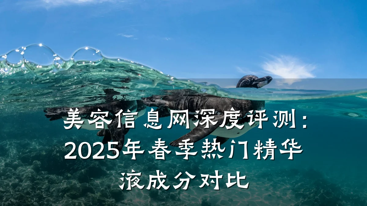 美容信息网深度评测:2025年春季热门精华液成分对比
