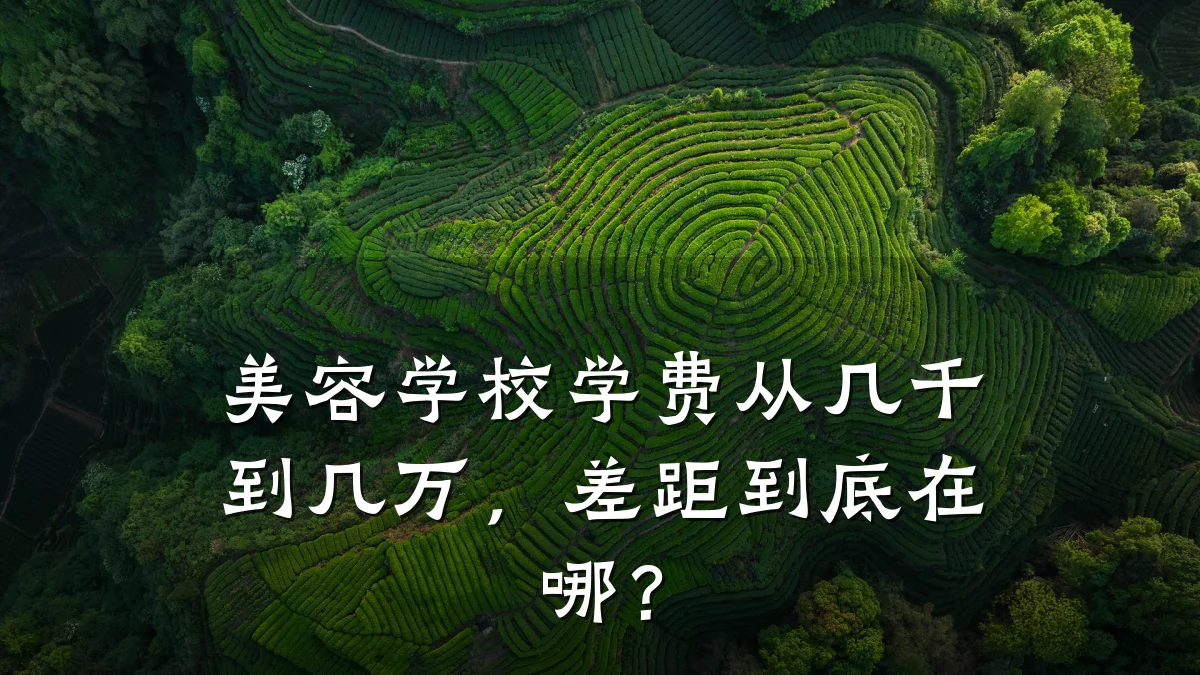 美容学校学费从几千到几万，差距到底在哪？
