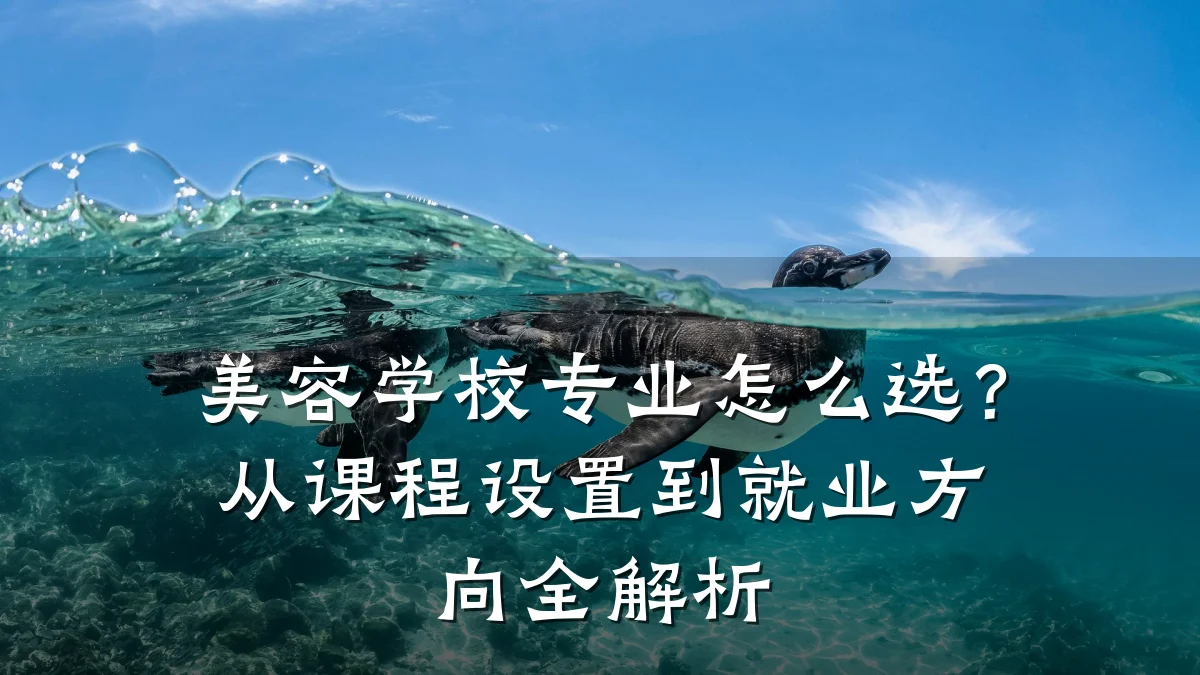 美容学校专业怎么选?从课程设置到就业方向全解析