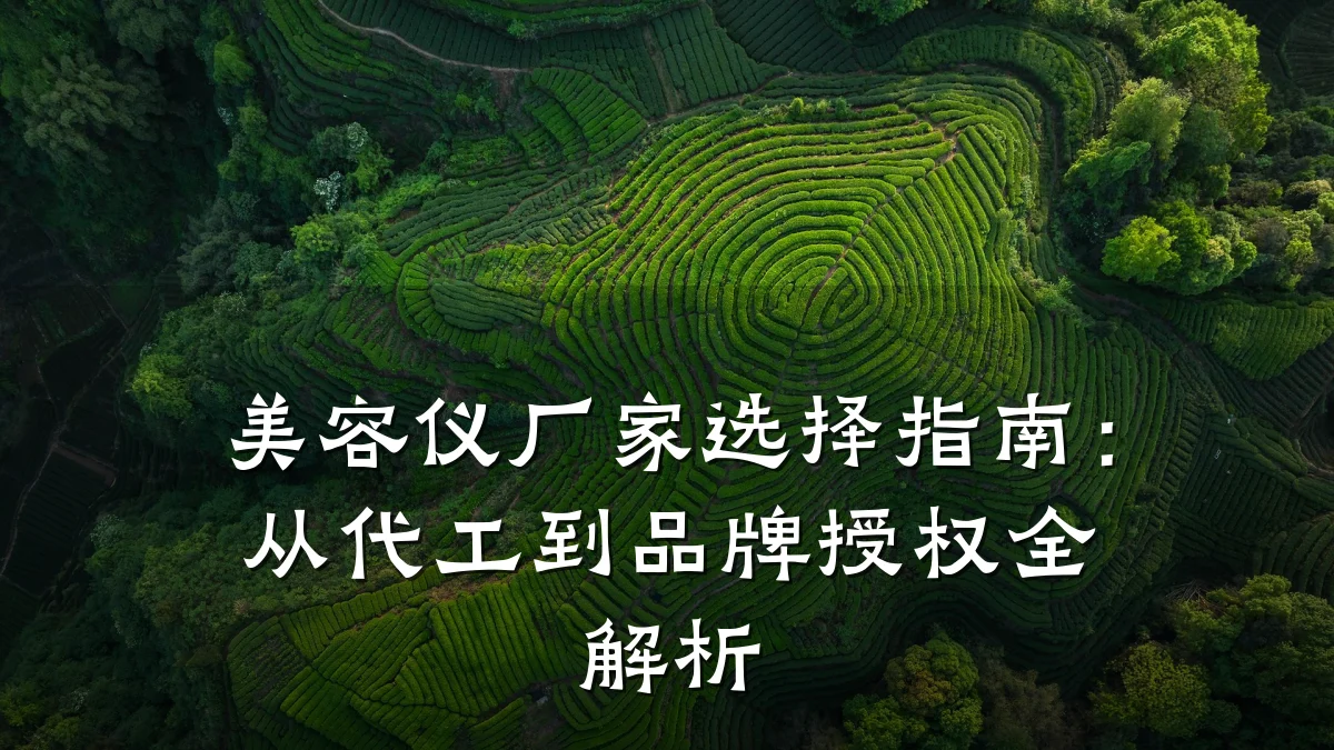 美容仪厂家选择指南:从代工到品牌授权全解析
