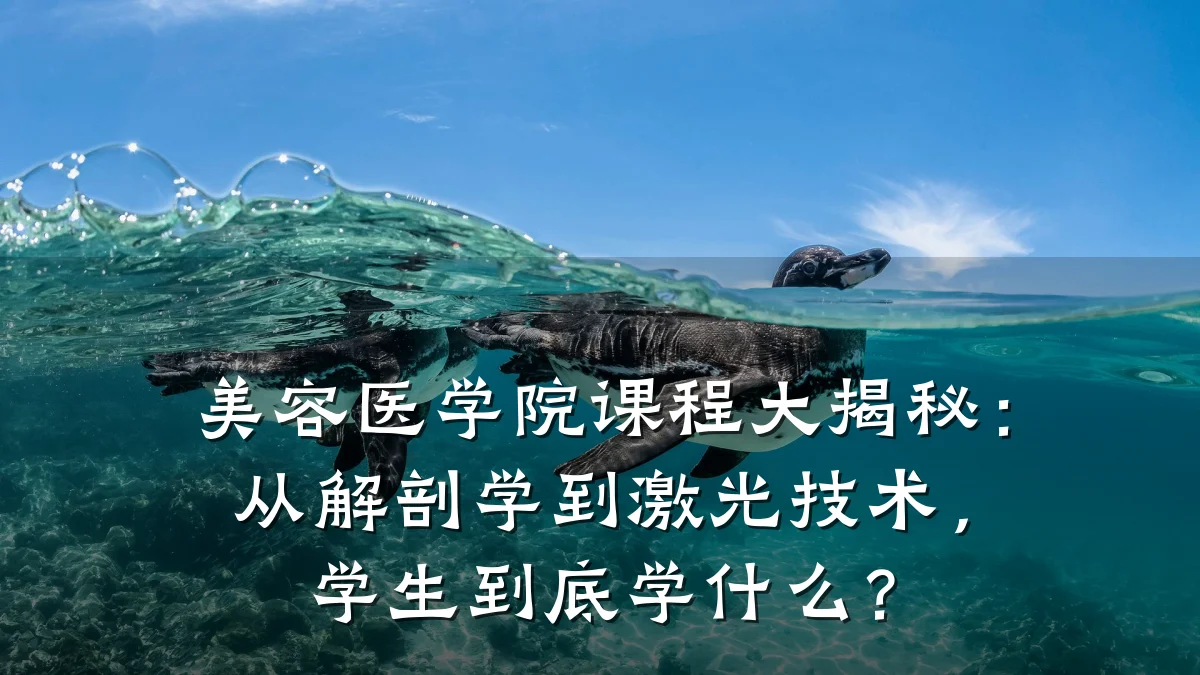 美容医学院课程大揭秘:从解剖学到激光技术,学生到底学什么?