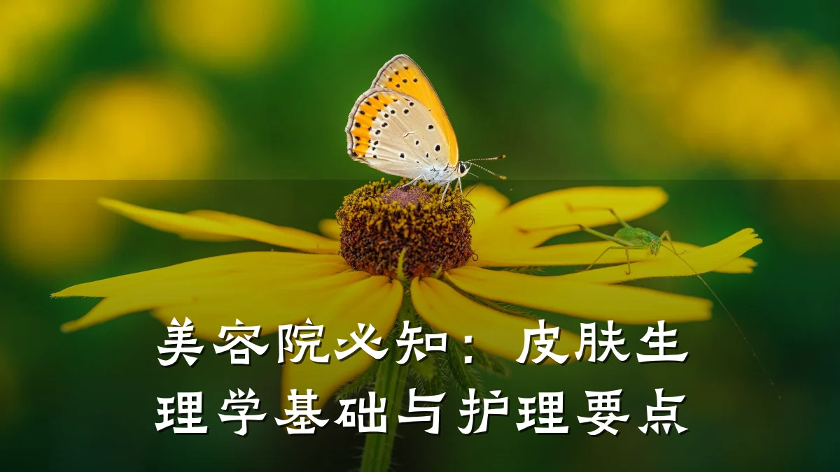 美容院必知：皮肤生理学基础与护理要点